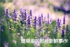 班级里的那些新鲜事作文范文5篇_中考命题作文