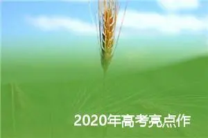 2020年高考亮点作文的写作技巧_作文3000字_高考作文指导