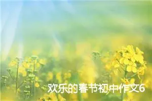 欢乐的春节初中作文600字_初中节日作文
