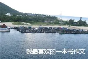 我最喜欢的一本书作文400字命题作文_中考命题作文