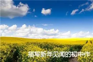 描写新年见闻的初中作文800字_初中节日作文