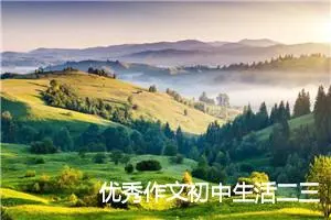 优秀作文初中生活二三事650字_中考命题作文