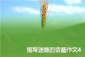 描写迷路的话题作文4篇_中考命题作文