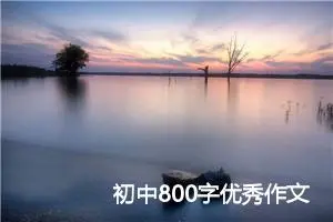 初中800字优秀作文：中秋节吃月饼_初中节日作文