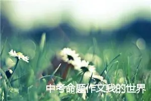 中考命题作文我的世界因你而美丽范文4篇_中考命题作文