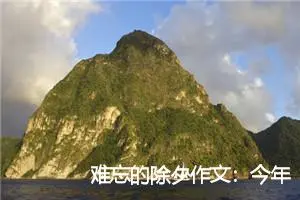 难忘的除夕作文：今年的除夕_作文1000字_初中节日作文