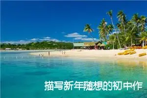 描写新年随想的初中作文500字_初中节日作文