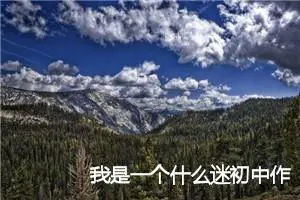 我是一个什么迷初中作文600字_中考半命题作文