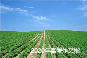 2020年高考作文指导：用辩证的方法看问题_作文600字_高考作文指导