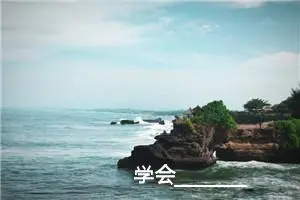 学会___________________作文800字_初中综合作文