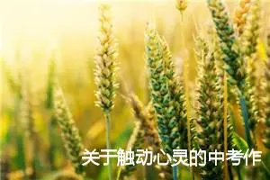 关于触动心灵的中考作文范文5篇_中考命题作文
