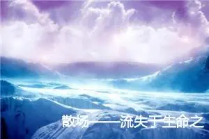 散场——流失于生命之路的华丽_作文1300字_高中优秀作文
