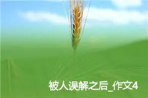 被人误解之后_作文450字_高中优秀作文