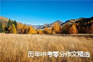 历年中考零分作文精选5篇_中考零分作文