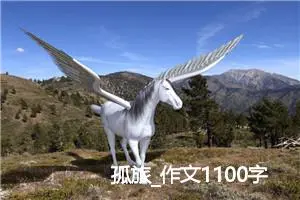 孤旅_作文1100字_高中优秀作文