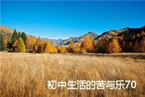 初中生活的苦与乐700字作文_中考命题作文