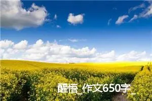 醒悟_作文650字_高中优秀作文