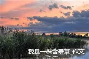 我是一株含羞草_作文550字_高中优秀作文