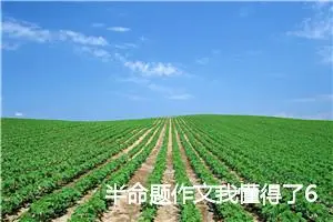 半命题作文我懂得了600字左右_中考半命题作文