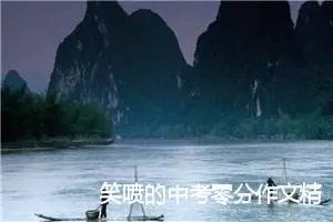 笑喷的中考零分作文精选2020_作文2600字_中考零分作文