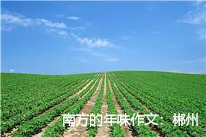 南方的年味作文：郴州的春节_作文700字_初中节日作文