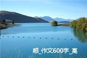 惑_作文600字_高中优秀作文