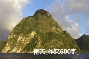 雨天_作文600字_高中优秀作文