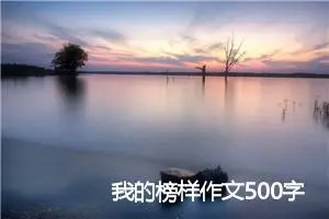 我的榜样作文500字初中_中考命题作文