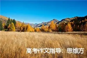 高考作文指导：思维方式_作文1150字_高考作文指导