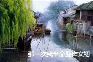 那一次我半命题作文初中650字_中考半命题作文