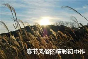 春节风俗的精彩初中作文600字_初中节日作文