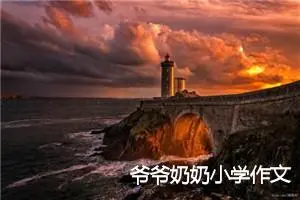 爷爷奶奶小学作文
