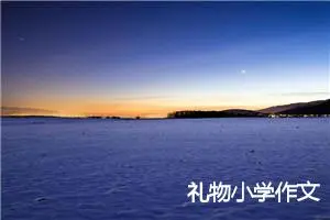 礼物小学作文