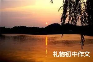 礼物初中作文