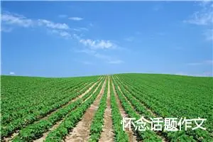 怀念话题作文