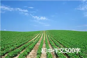 初中作文500字