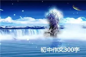 初中作文300字