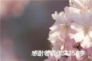感谢老师作文250字