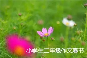 小学生二年级作文春节拜年