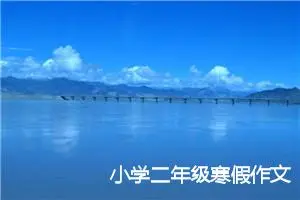 小学二年级寒假作文