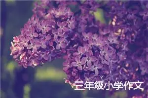 三年级小学作文