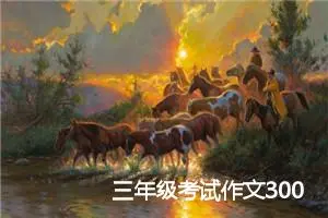 三年级考试作文300字
