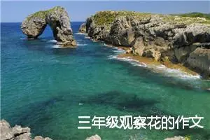 三年级观察花的作文