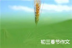 初三春节作文