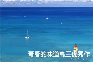 青春的味道高三优秀作文