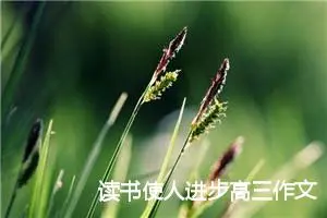 读书使人进步高三作文