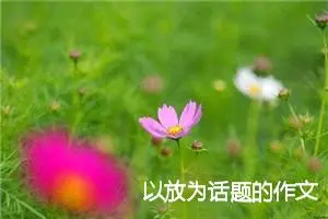 以放为话题的作文