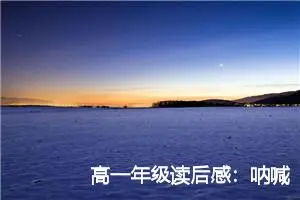 高一年级读后感：呐喊读后感_作文1200字_高中读后感