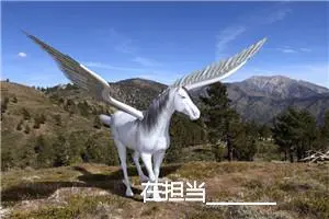 在担当________作文750字_高中作文范文