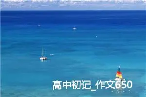 高中初记_作文650字_高中作文范文